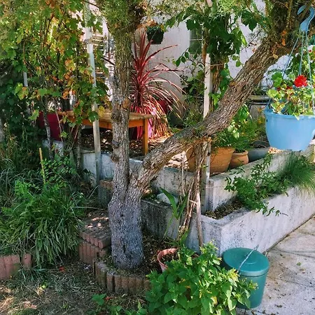 Tatil Evi Entre Mer Et Foret, Idealement Situee Rivedoux-Plage